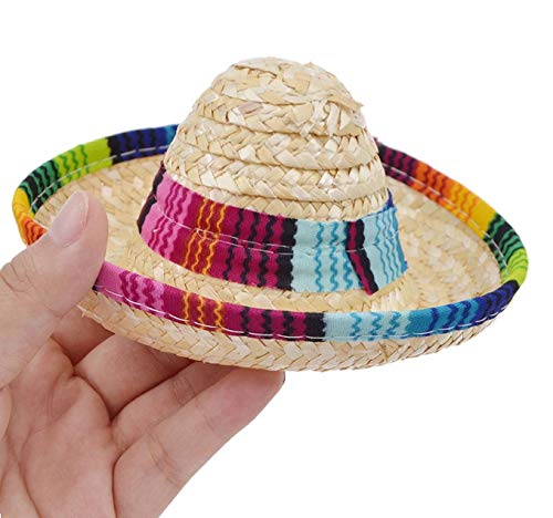 Floratek 6 Pack Mini Mexican Hat, 6 