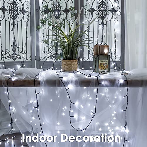 Rpgt 1000 Leds 336Ft Green Cable Wire Fairy String Tree Twinkle Lights 8 Modes For Christmas Party, Outdoor, Garden, Wedding, Home Decoration (White) #TOP1