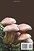 MUSHROOM CULTIVATION GUIDEBOOK FOR BEGINNERS: Unlocking THE Secrets OF Growing Edible Fungi AT Home AND Beyond FROM Beginner Techniques TO Advanced ... Harvests AND Culinary Delights (FARM HOME)