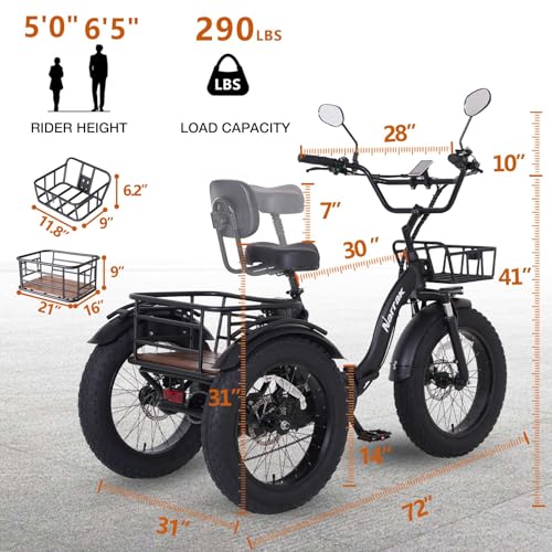 Electric Tricycle for Adults Cargo