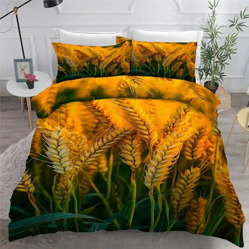 A|zcJo[zcJo[}CNt@Co[h_j|퓅ÓdCh~3_Zbgyʐ􂦂H?퓅t@Xi[Jo[VuȒPQ_璅EȒPduvet cover210x210cm+2Jo[43x63cm