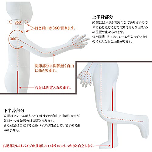 新品 マネキン トルソー 子供 全身 130cm 台座付 ポージング自由自在 楽天市場】マネキン トルソー 子供 全身 130cm 台座付
