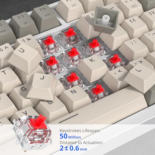 Image of 75% Mechanical Keyboard With Volume Knob, Gasket Hot Swappable RGB Gaming, Wired Custom With Red Switch, 82 Keys Compact Creamy (82 Beige Grey)
