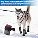 4 Stück Hundesocken Pfotenschutz Anti-Rutsch Hundesocken mit verstellbaren Riemen Hunde Schuhe Outdoor atmungsaktiv Hundeschuhe Hundesocken S