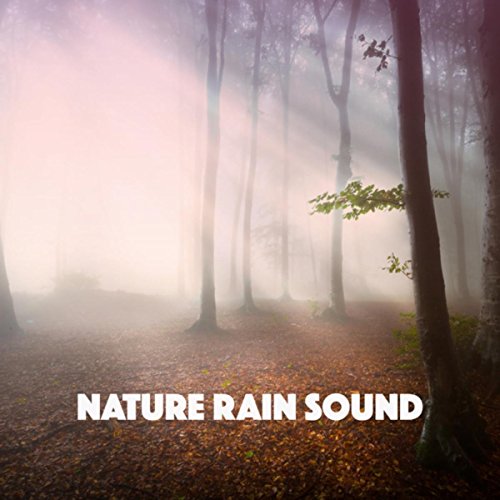 Nature Rain Sound Nature Sounds, White Noise Therapy and Sleep Sounds of Nature
