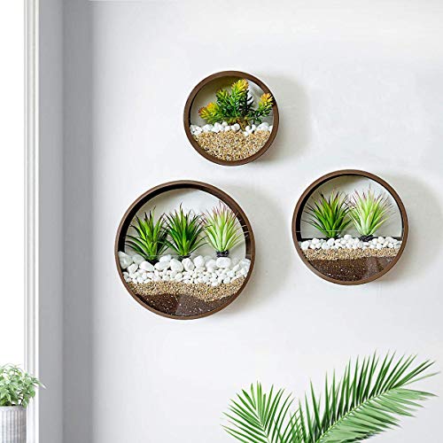 Paquete de 3 maceteros Redondos de Pared para Colgar, Metal, círculo, Soporte para Plantas, Moderno, jarrón de Hierro, decoración de Pared, Acentos para Plantas de Aire, Plantas de imitación (marrón)
