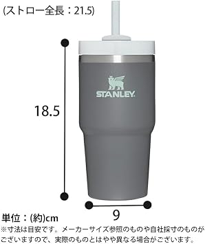 STANLEY Adventure Series H2.0 Vacuum Slim Quencher 0.6L Tumbler 10-10826 Black 2.0