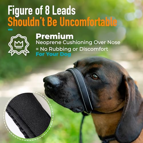 Total Pet Figure of 8 Dog Lead - Flat Anti Pull Stop Dogs Pulling – Slip Leads Reflective with Padded Nose Support (210cm) - Image 2