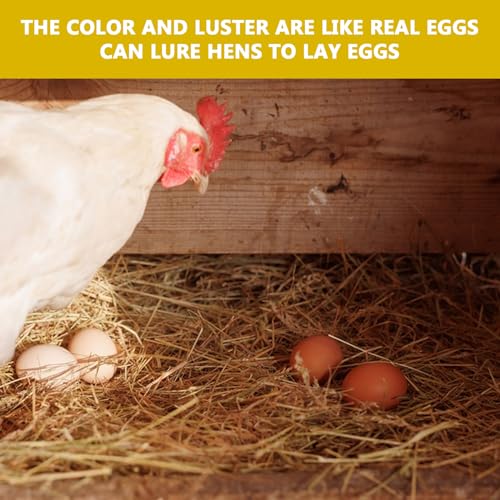 SRTSTR 6 Stück Holzeier Helfen Beim Legen, Holzeier zum Bemalen, Nisteier aus Plastik für Hühner um Hennen Anzuregen Eier zu Legen Fördern das Legen Oder Verhindern das Essen von Eiern