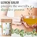 Imagen de ORIGEENS INFUSIÓN LEMON BALM