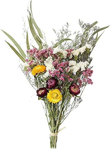 Ramillete de Flores Secas Naturales para Decoración y Manualidades miniatura 4