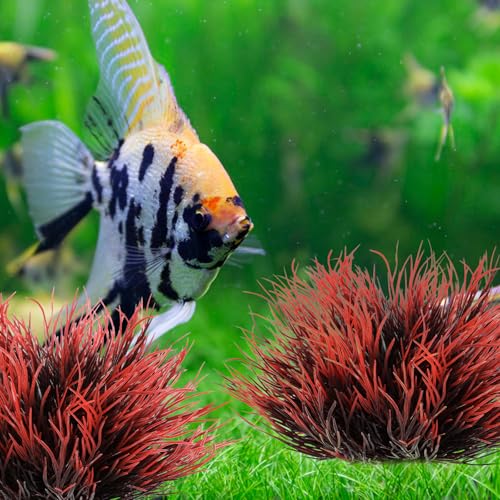 Image of 2 Pcs Aquarium Plants Fish Tank Decorations Artificial Fish Tank Plants Plastic Mini Grass Set Natural Style Tanks Accessories (Black Red)