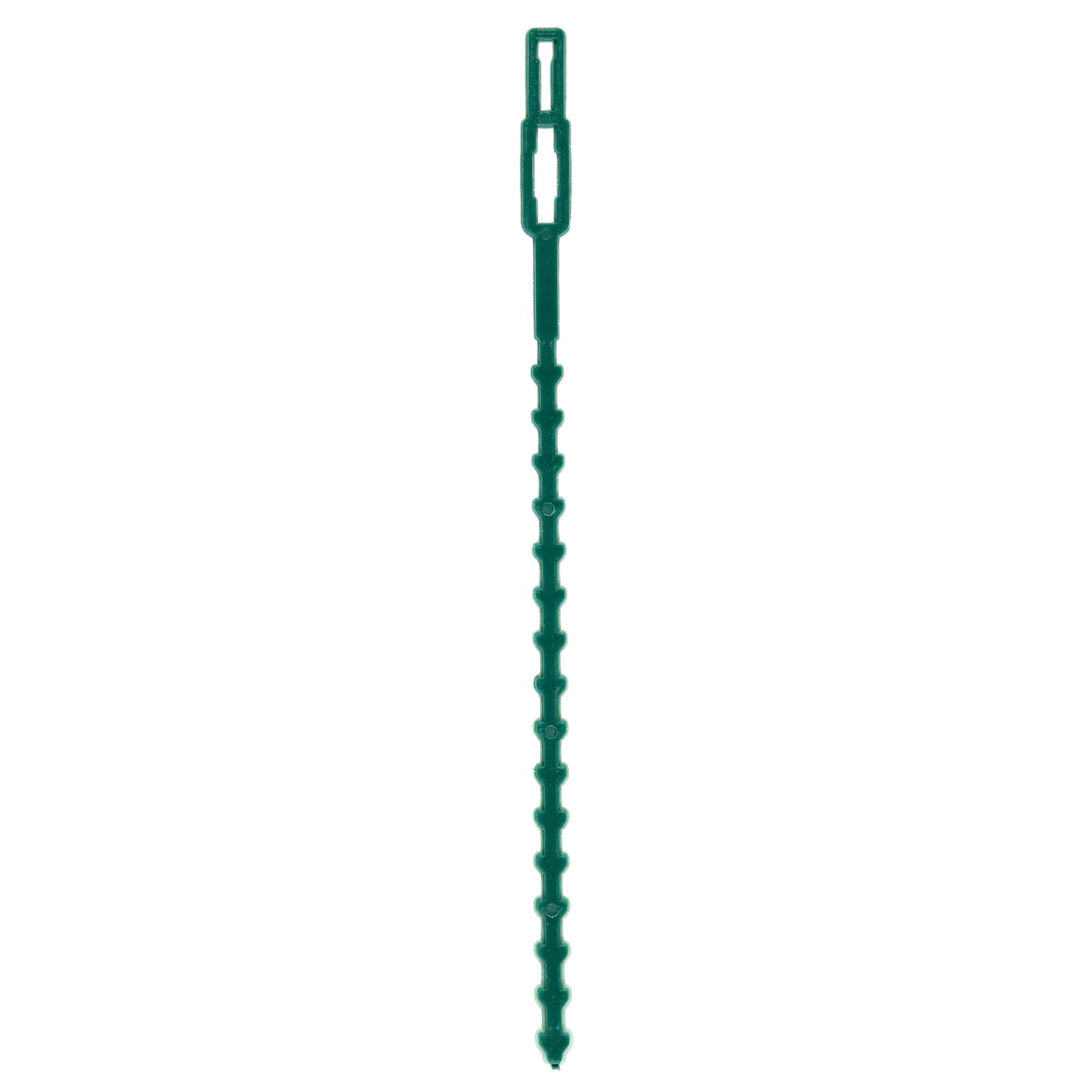 Flandria 50 Attaches Plantes Réglables 23cm – Liens Réutilisables pour Plantes et Potager - Attache Tuteur Vert