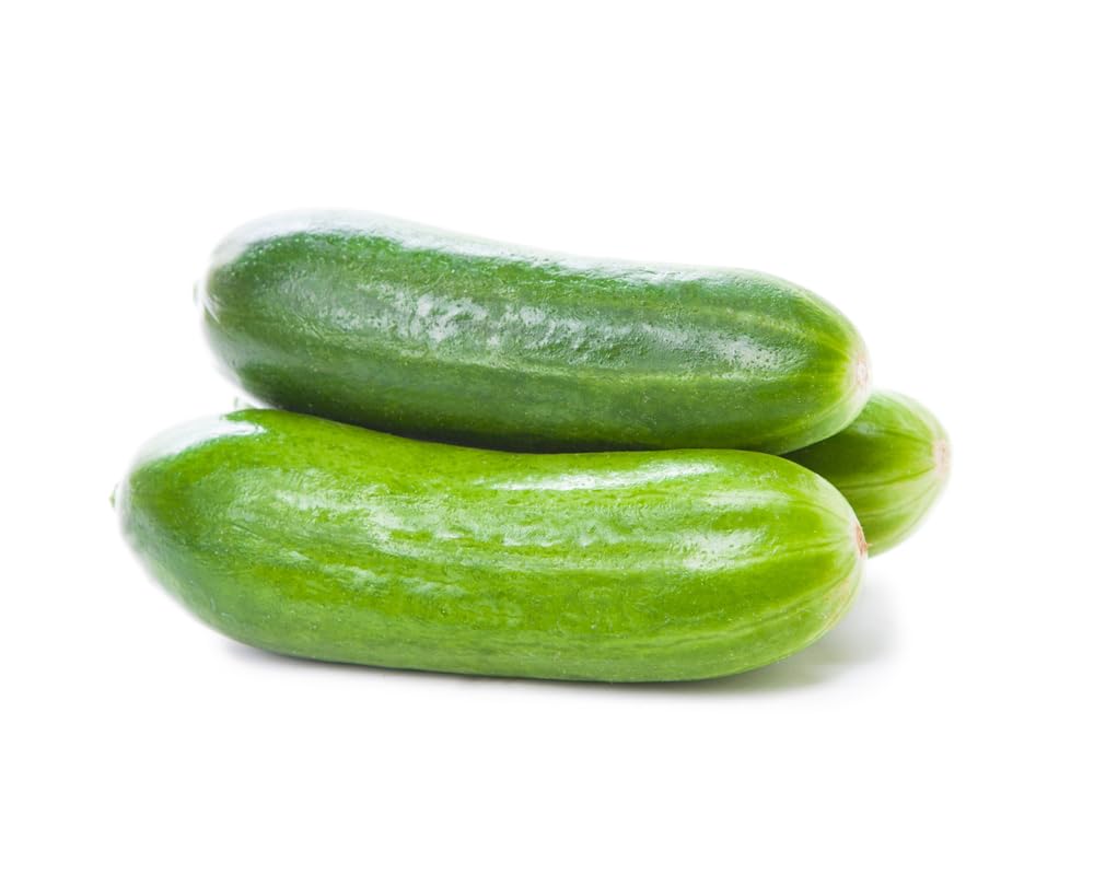 Cucumber Plants, 'F1 Mini Munch', 6 x Full Plants in 9cm Pots, Mini Cucumbers, Garden Ready and Ready to Plant, Premium Quality Vegetables โ image 1