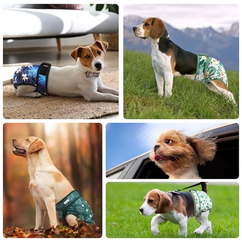 Image of Dog Diapers Female 5pcs,Reusable Dog Doggie Puppy Doggy Diapers Female, Period Panties in Heat, Leaf, XLarge