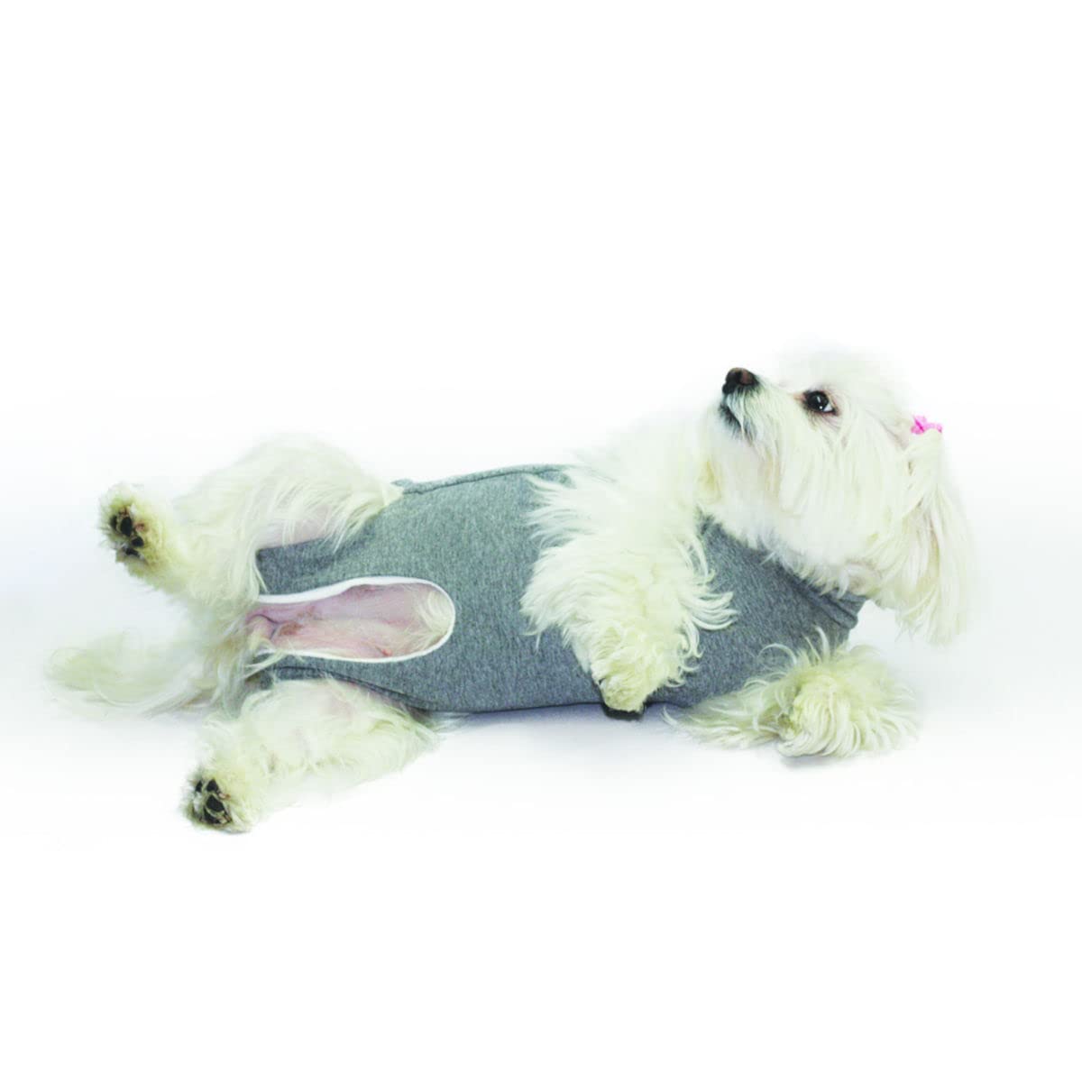 Fashion Dog Cura Pets - Body anticipado para perros y gatos, 75 cm