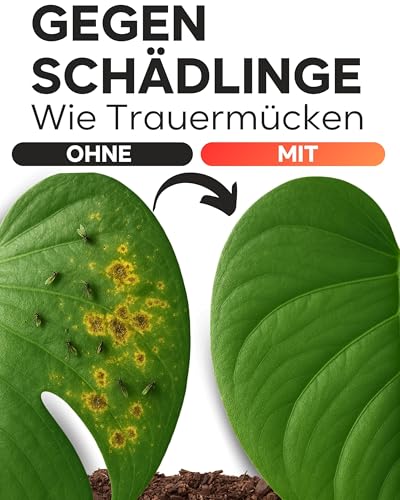 Veda Naturals® Neemöl (100 ml) kaltgepresstes nativ–virgin Niemöl aus Indien–Ayurveda | Mit Sprühpumpe | frei von Farb- und Konservierungsstoffen | Naturpflege gegen Trauermücken | Pflanzenpflege