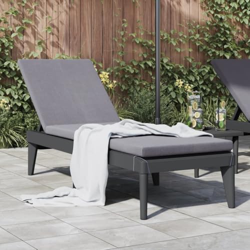 Nqyjm - Baño de sol con respaldo ajustable en 4 posiciones, chaise longue con cojín antracita, 186 x 60 x 29 cm, PP - Hamaca de playa, relax al aire libre para jardín, terraza, balcón