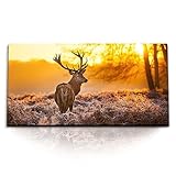 MATÉRIAU DE HAUTE QUALITÉ : nos peintures murales sont tendues sur un cadre en bois solide d'une épaisseur de 2 cm. Cela assure non seulement une structure robuste, mais aussi une décoration murale durable. Profitez d'un produit de qualité qui reste en parfait état même après des années.