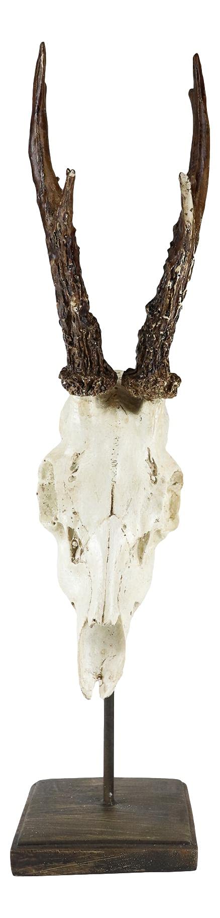 Ebros Large 15.75" Tall Rustic Wild Roe Deer Buck Head Skull On Museum Pole Stand Pedestal Display Base Stag Antlers Taxidermy Hunter Decor for Country Cabin Lodge Resort Figurine