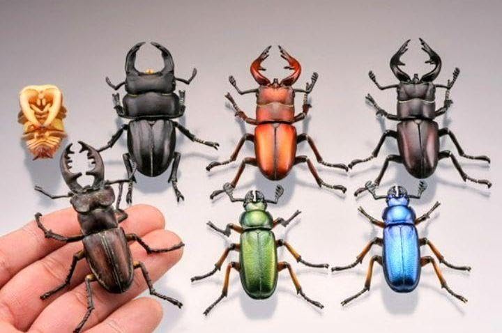 Amazon.co.jp: 日本クワガタムシ大全 全7種 カプセルQ 海洋堂