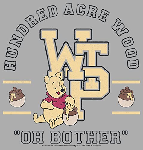 Disney Winnie The Pooh Collegiate Boy's Heather Crew Tee2