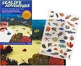 west downs student village Sea Life Adventure - Rub Down Transfers Ocean Scene