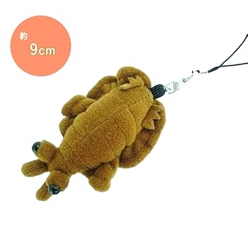 古代生物シリーズ アノマロカリス ぬいぐるみ 5967A 9jupf8b Amazon.co.jp: 古代生物シリーズ アノマロカリス ぬいぐるみ