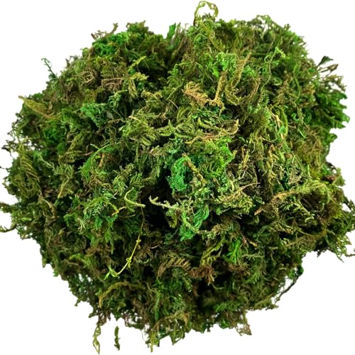 ECYC Ltd 30g (1.05oz) Fake Moss, Artificial Green Moss Faux Moss Artificial Greenery Moss Decorative Moss for Potted Plants, Fairy Garden, Terrariums, Crafts, Wedding Centerpieces, Home Decor