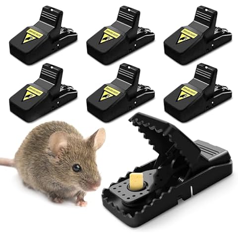 Mouse Traps, Mice Traps for House, Mouse Trap Indoor Quick Effective Sanitary, Mice Snap Trap, Safe Rat Trap Catcher for Family and Pet (Small Mouse Traps 6-Pack) Cover