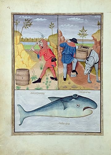 Livre des médecines simples Robinet Testard toile murale 50x70cm pour décorer sans cadre