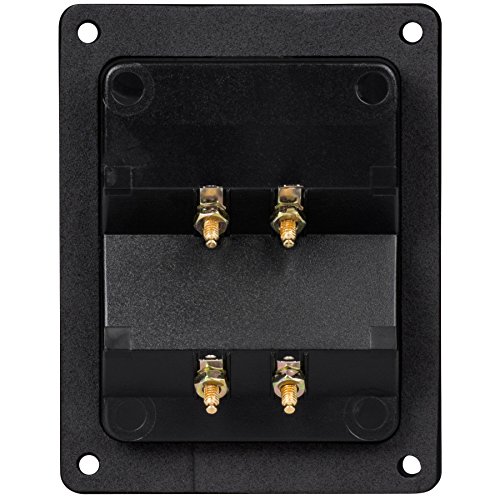 Terminal de Altavoz con Placa Dorada y Conector Bi-Amp miniatura 2