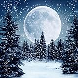 AOFOTO 10x10ft Winter Snow Night Forest Backdrop Fairytale Snowscape Pine Fir Trees Snowfall Photography Background Full Moon Snowing Christmas Xmas Party Decor Kid Family Photo Studio Props Vinyl