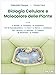 Biologia Cellulare E Molecolare Delle Piante - 3