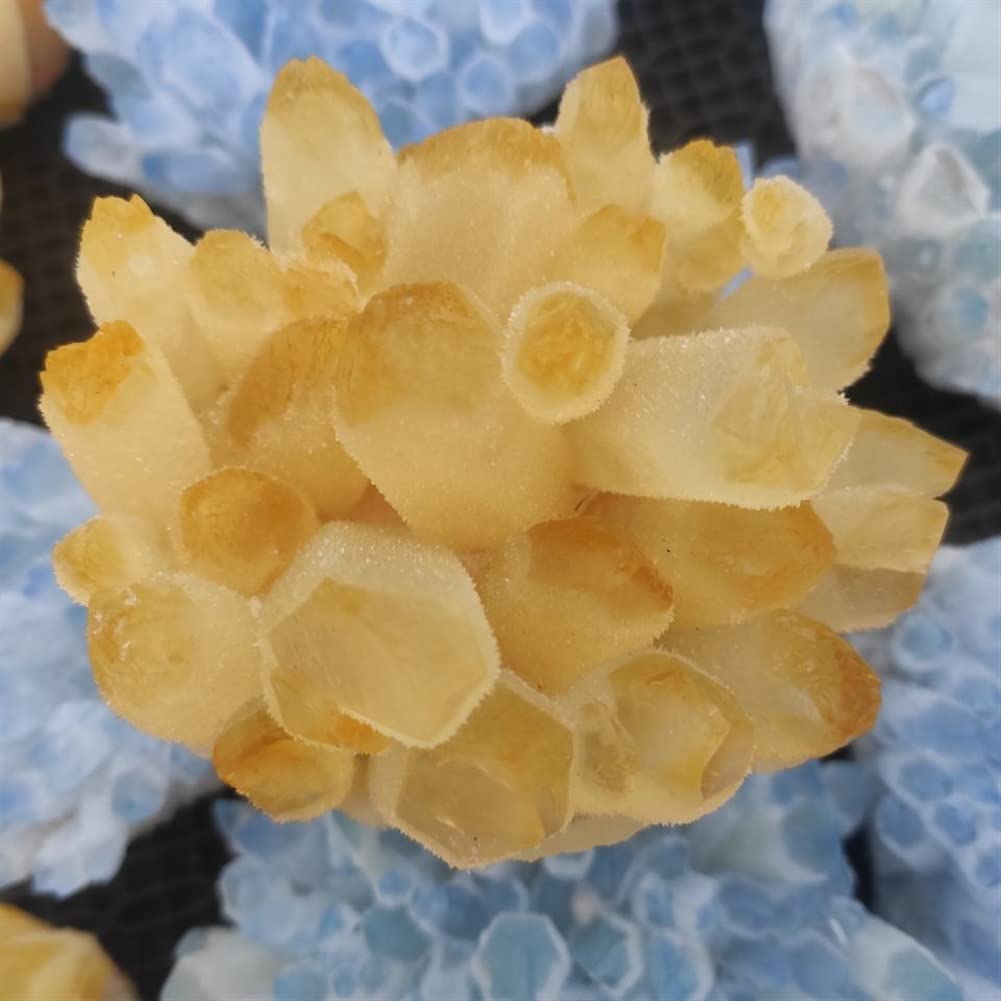 Naturkristall rau Heilstein 1pcs300-700g Große natürliche Citrin Quarz Geode Topas Kristall Cluster Heilung Exemplar Heimtextilien DIY Handwerk (Size : 500-600g)