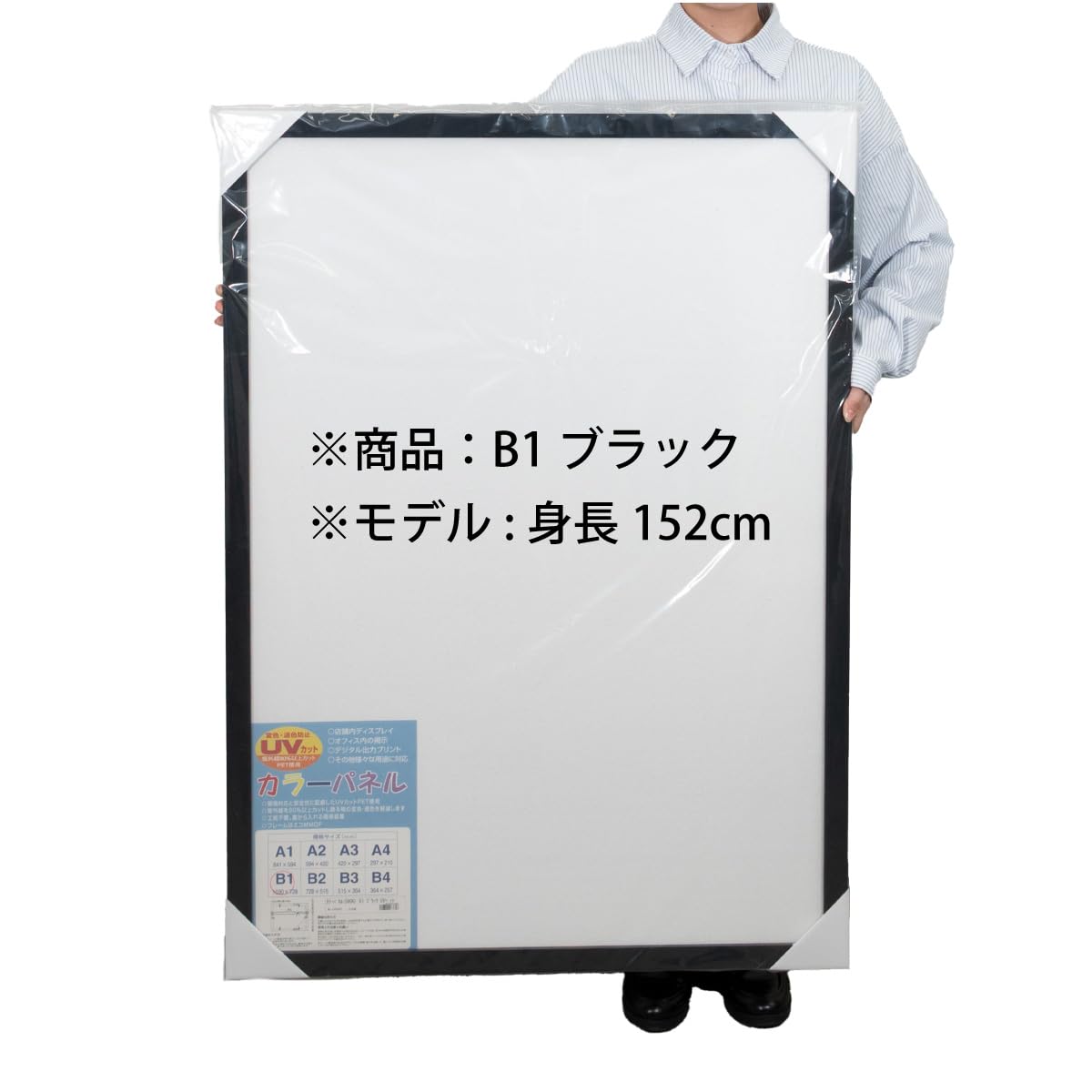 Amazon.co.jp: 大額(Daigaku) 額縁 ポスターフレーム カラーパネル B1