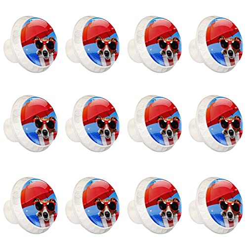 Poignée de commode ronde et boutons de cuisine robustes au design canin - 2