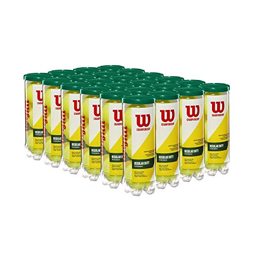 Image of WILSON Championship Tennis Balls