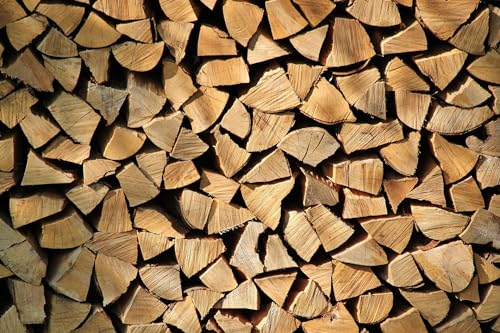 Abrollwerk 20er Set Gitteraufsatzrahmen 1200x800x800 mm grün lackiert für Euro-Paletten – klappbare Gitterbox mit 800 mm Nutzhöhe für DIN-Paletten – für Industrie & Garten & Brennholz