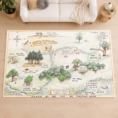 Tapete decorativo moderno 5' x 8' rectangular multi color