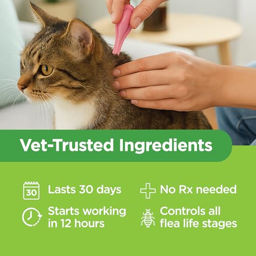 TevraPet Actispot II Flea Treatment for Large Cats 9+ lbs | 6 Doses | Powerful Prevention and Control - Image 6
