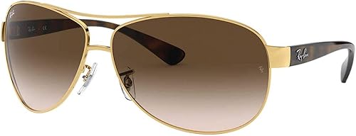 Ray-Ban Mens Rb3386 Aviator Sunglasses