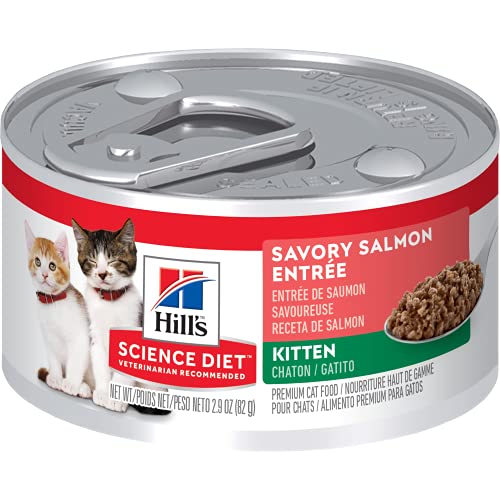 The 25 Best Kitten Foods Cat Life Daily