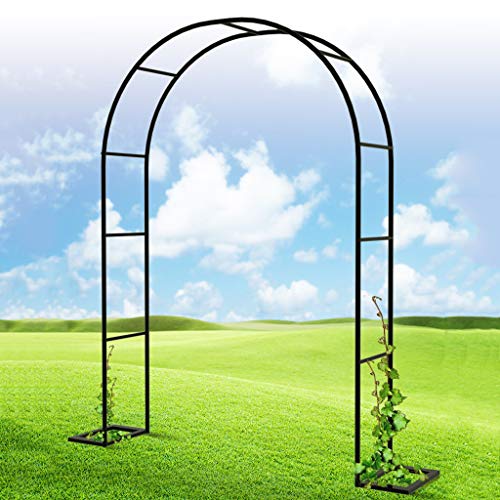 Creative LDF Arche De Jardin en Métal avec Base Résistante Forte Plantes Grimpantes Rose Arcade Tubulaire pour Balcon Jardin Potager Pré Cover