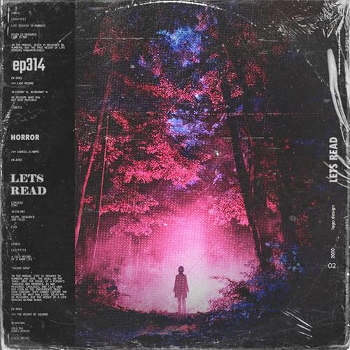 329: I WITNESSED A MURDER IN THE WOODS | 11 TERRIFYING True Scary Stories / Rain Ambience | EP 314 copertina