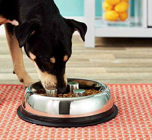 Top Dog Chews – Brake-Fast Slow Feed Stainless Steel Bowl, Food Dish for Large or Medium Dog’s, & Puppies, No Stickers to Remove, 2 Quarts, 64 OZ, 8 Cups