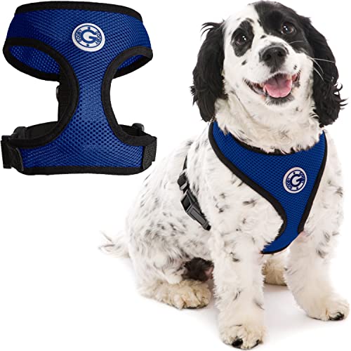 Gooby - Soft Mesh Harness, Small Dog Harness with Breathable Mesh, Blue, Medium
