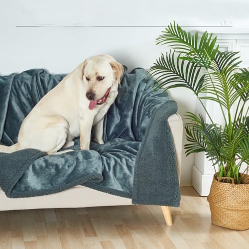 Couverture imperméable, couverture imperméable pour animal de compagnie, couverture pour chien, chat, chien, couverture de lit, lavable, couverture polaire pour protection de lit et meubles