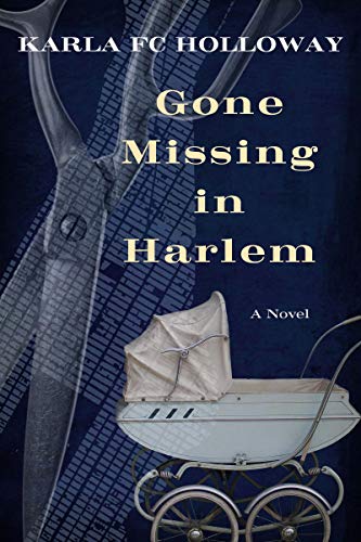 Gone Missing in Harlem view 2