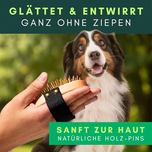 Hundebürste Unterwolle für Langhaar - 100% Naturborsten - Made in Germany - sanfte Unterfellbürste zum Entfilzen & Glätten ohne Ziepen - geölter FSC® Holzgriff + extra Bürstenreiniger